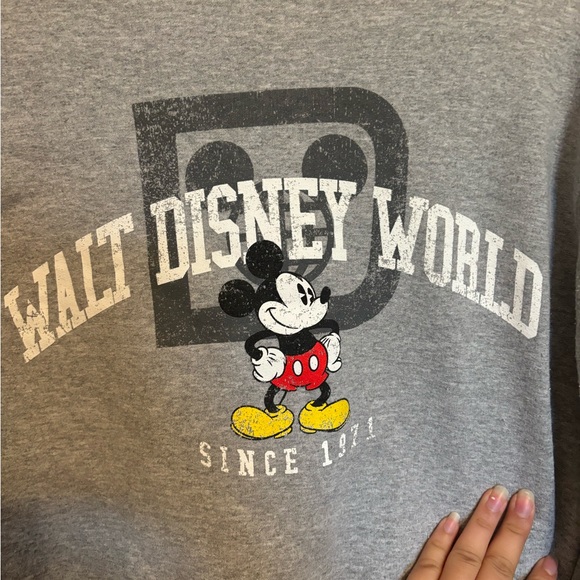 Disney parks pullover hoodie - Picture 5 of 6